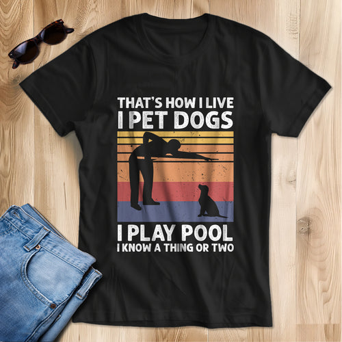 Funny Retro Billiards T-Shirt I Play Pool I Know A Thing Or Two, Gift For Pool Player TDM3941