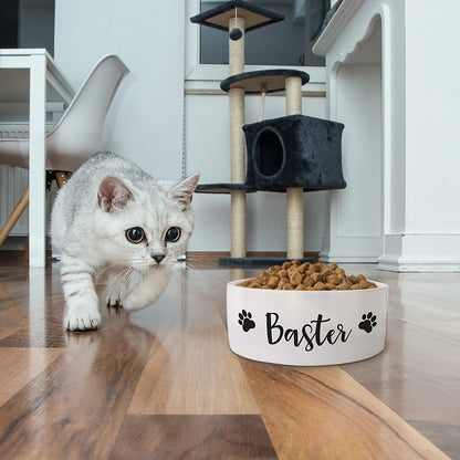 Personalized Pet Bowl with Your Pet's Name - Pet Bowl for Your Dog, Cat - NQS1140