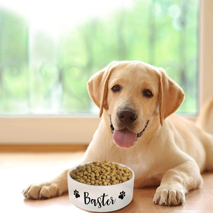 Personalized Pet Bowl with Your Pet's Name - Pet Bowl for Your Dog, Cat - NQS1140